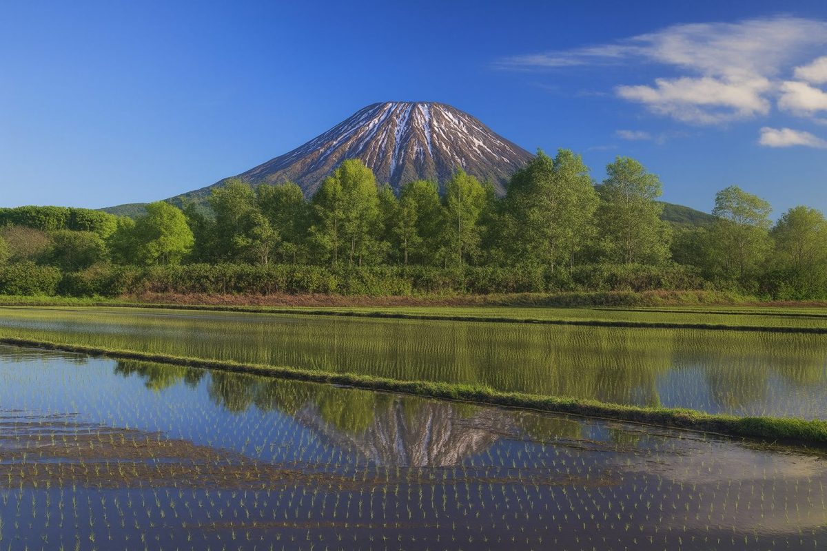 北海道ニセコ町の風景