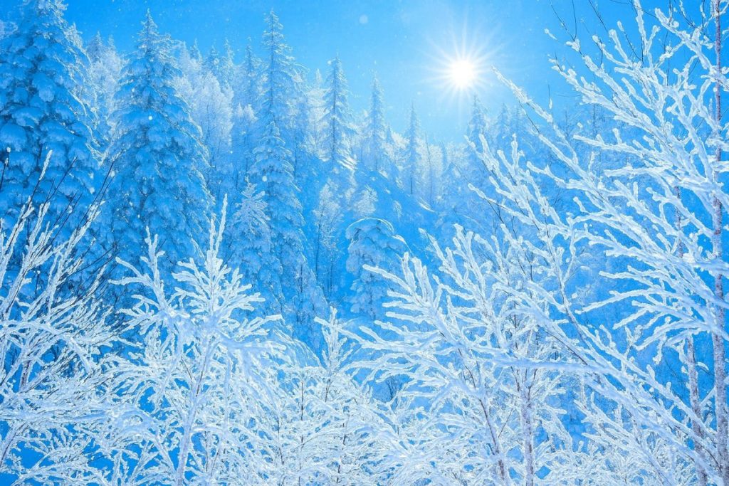 北海道津別町の風景