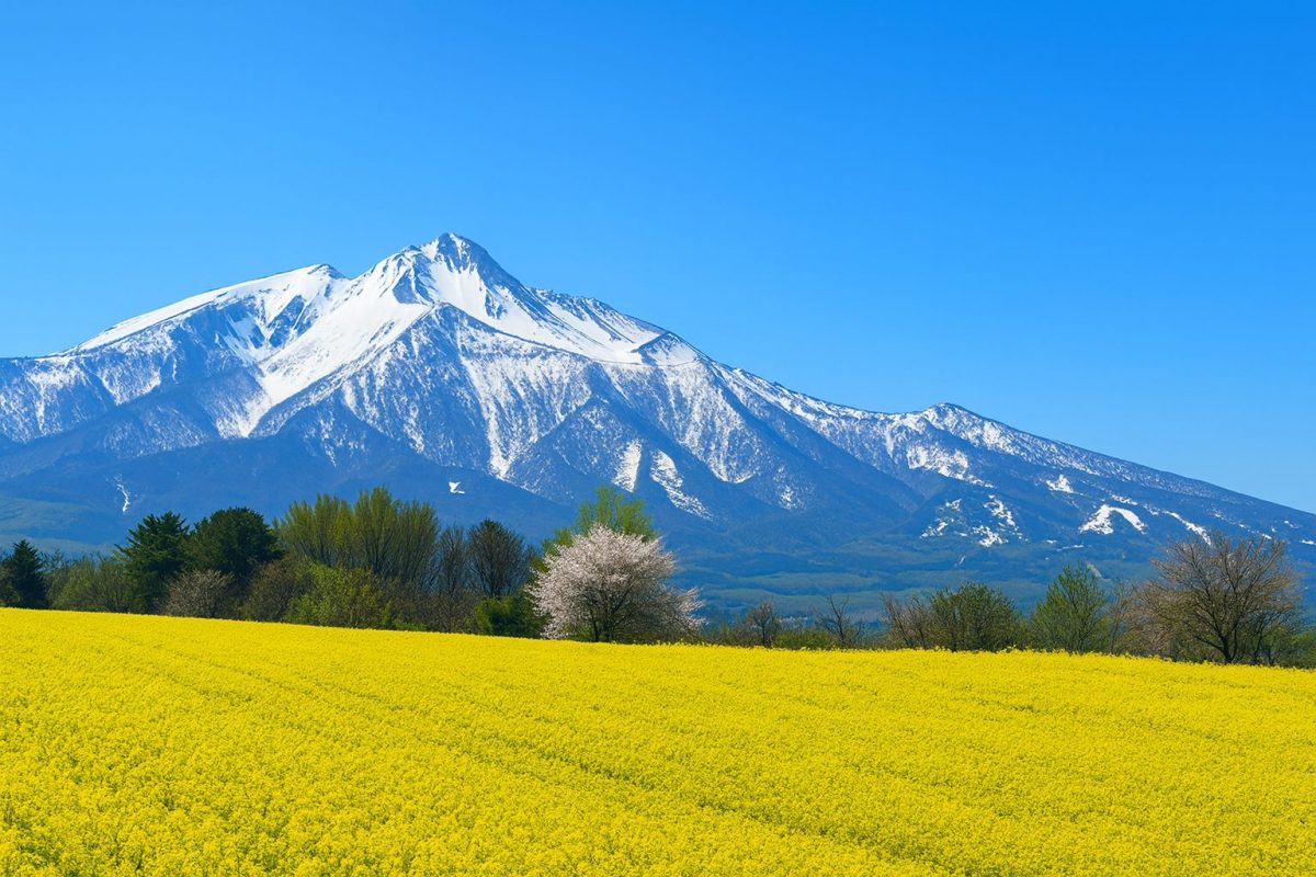 青森県鰺ヶ沢町の風景
