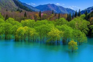 青森県西目屋村の風景