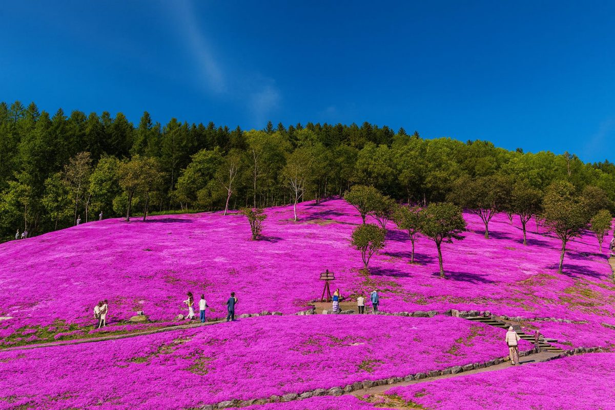 北海道滝上町の風景