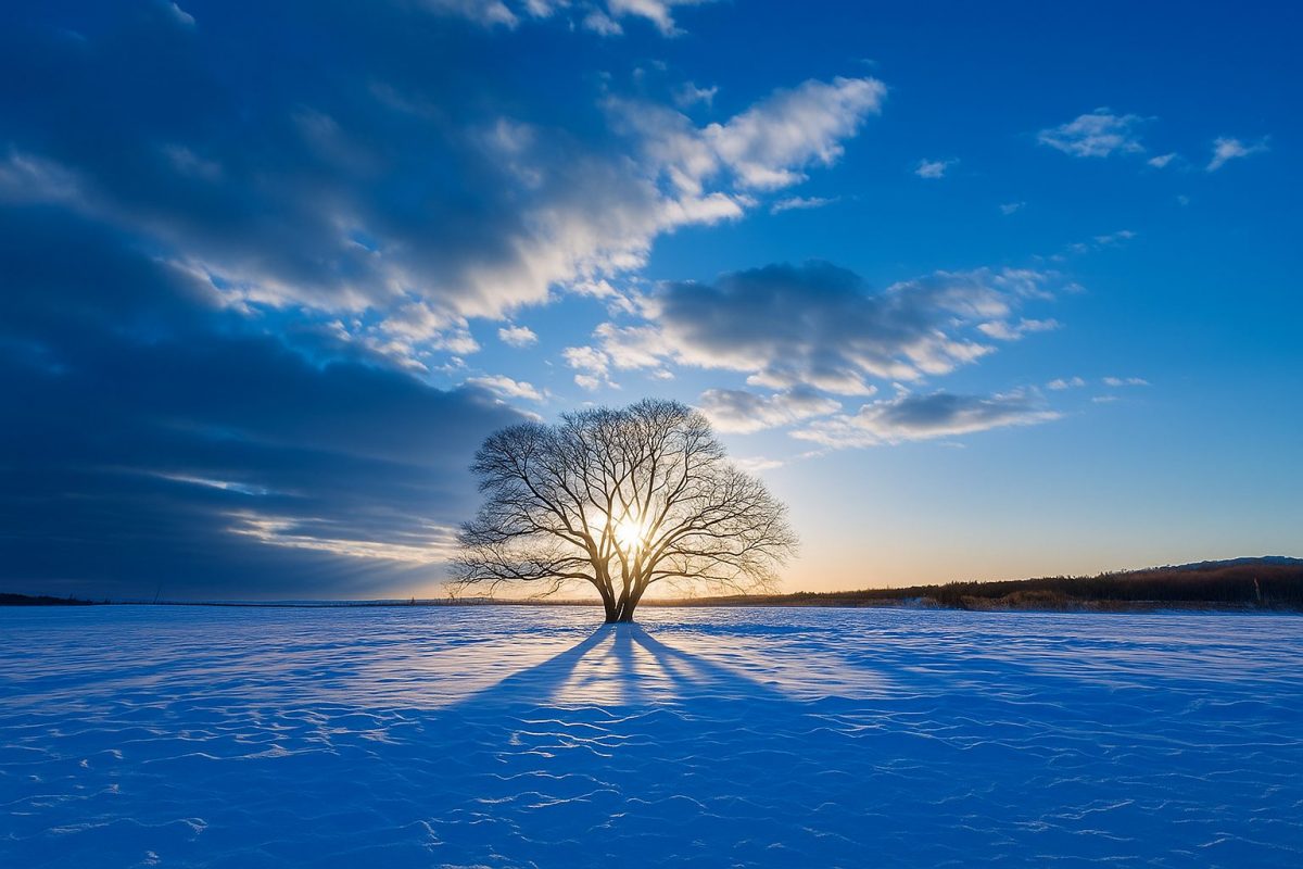 北海道豊頃町の風景