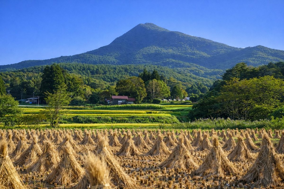 岩手県洋野町の風景
