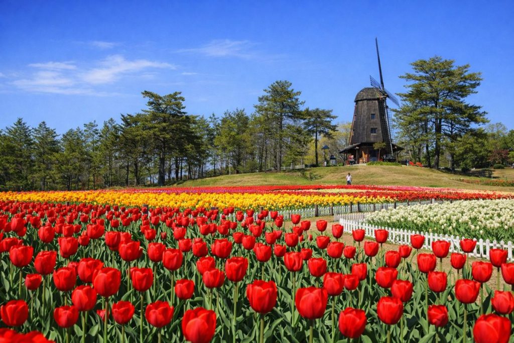岩手県軽米町の風景