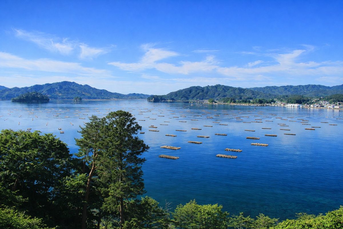 岩手県山田町の風景