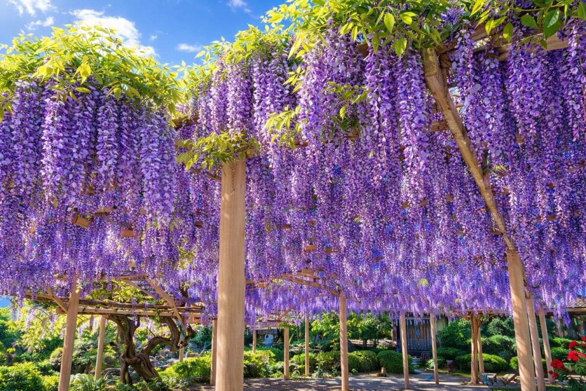 宮城県岩沼市の風景