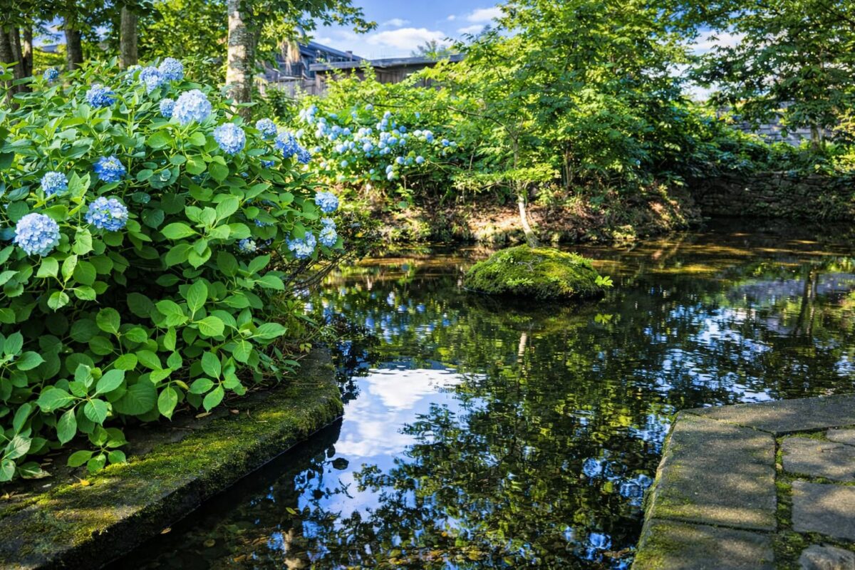 秋田県美郷町のニテコ清水