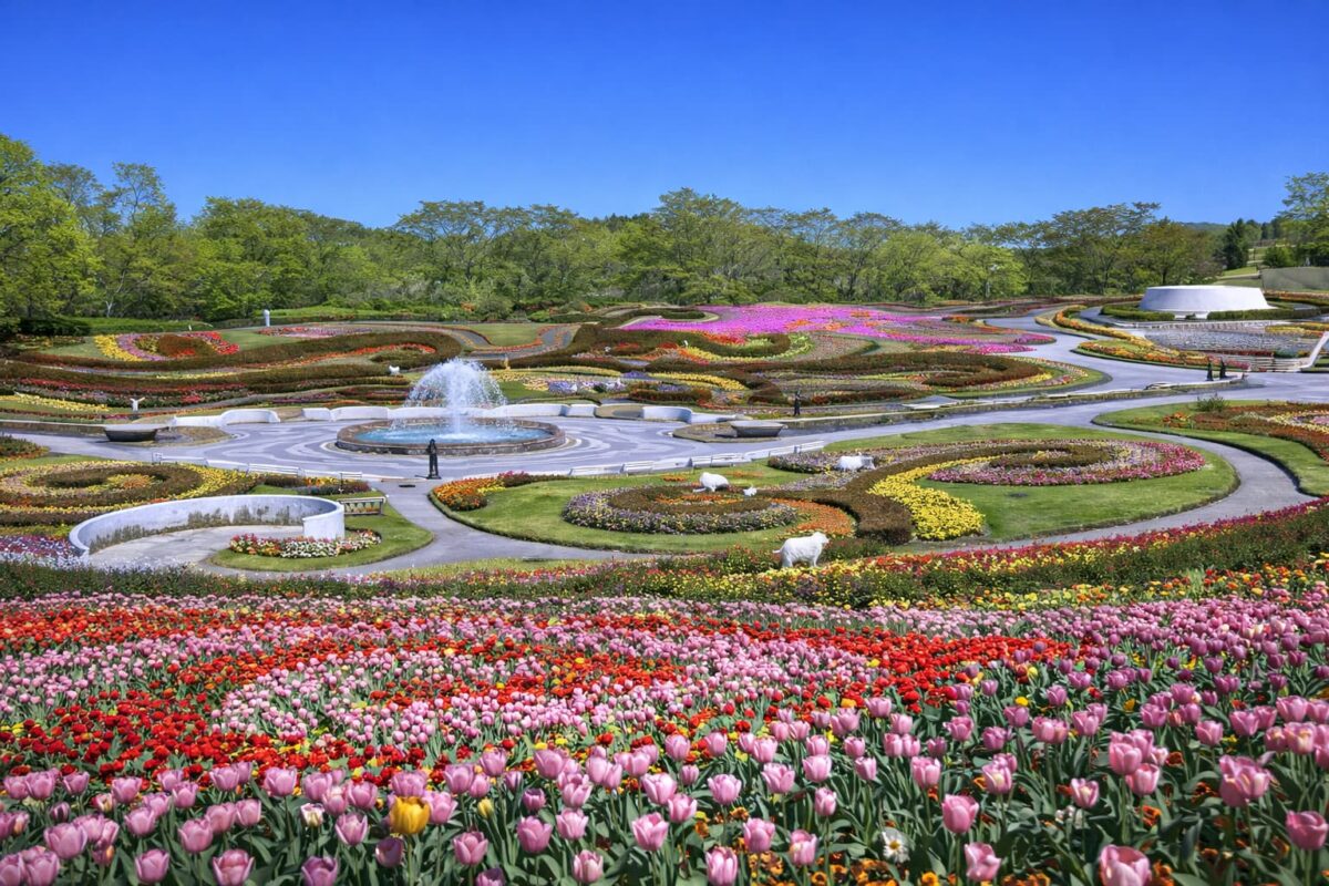 宮城県川崎町の風景