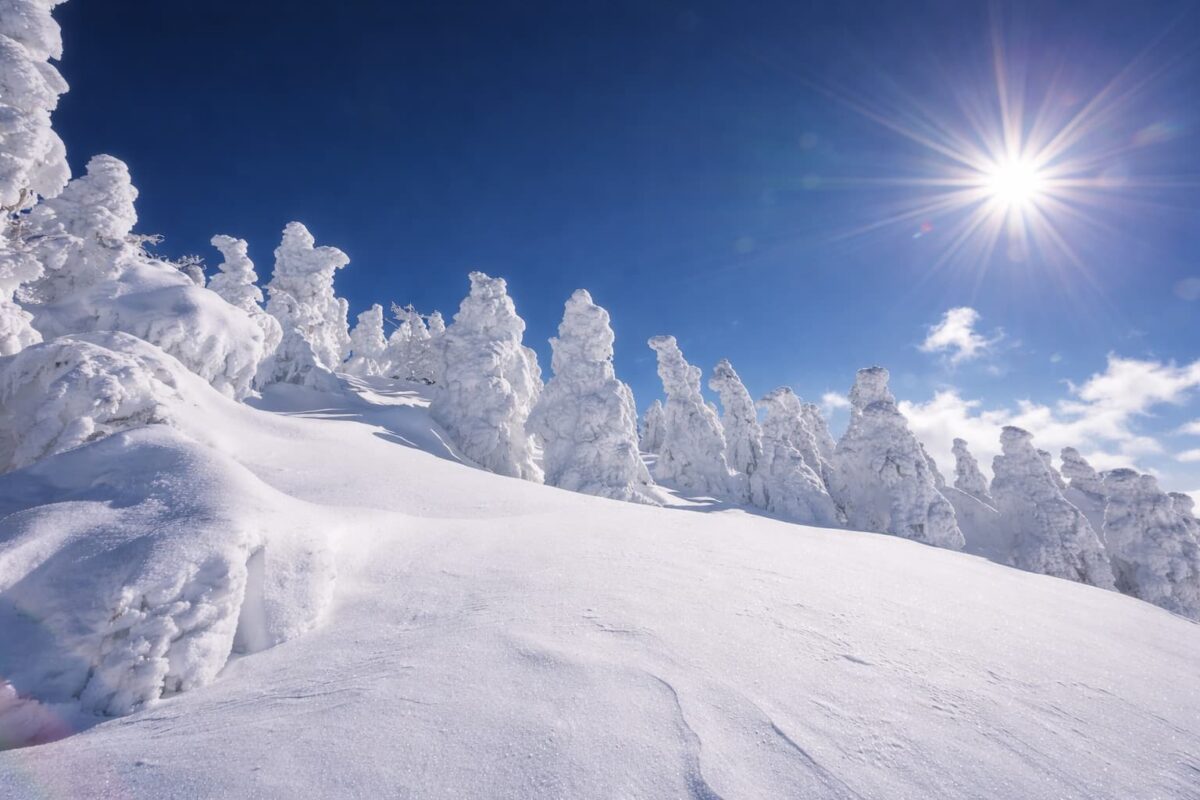 秋田県北秋田市の森吉山アイスモンスター(樹氷)